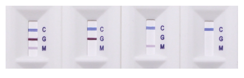 How Do I Perform A FingerStick Rapid Antibody Blood Test